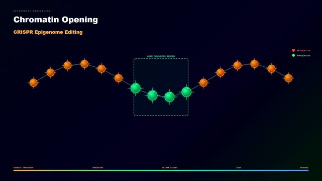 Advanced CRISPR Gene Therapy technology shows the process of chromatin opening and epigenetic modifications through the transition of methyl and acetyl groups in DNA.