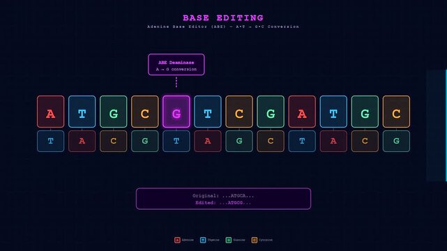 This digital visualization demonstrates how CRISPR Gene Therapy tools precisely edit specific DNA base pairs to correct genetic mutations within a complex molecular biological sequence.