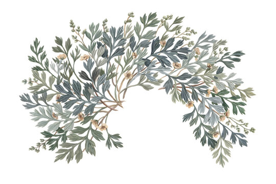 Intricate botanical of dusty miller foliage with small yellow flowers for floral arrangements and decorative isolated on a transparent background