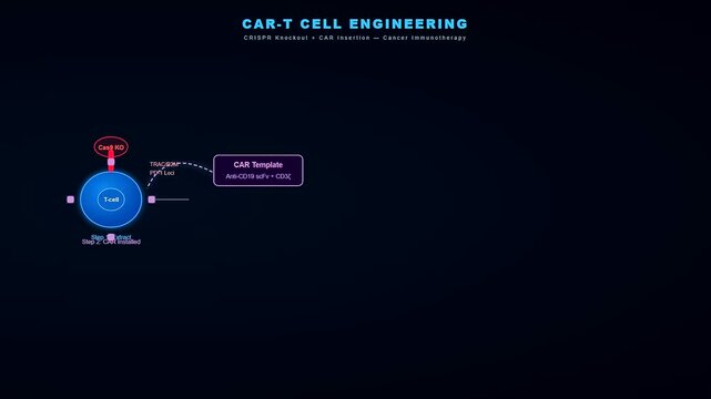 Advanced professional animation illustrates how CRISPR Gene Therapy reprograms immune cells to fight cancer by inserting chimeric antigen receptors and knocking out specific genomic sequences.