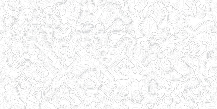 Gray topographic map contour lines on white background pattern texture