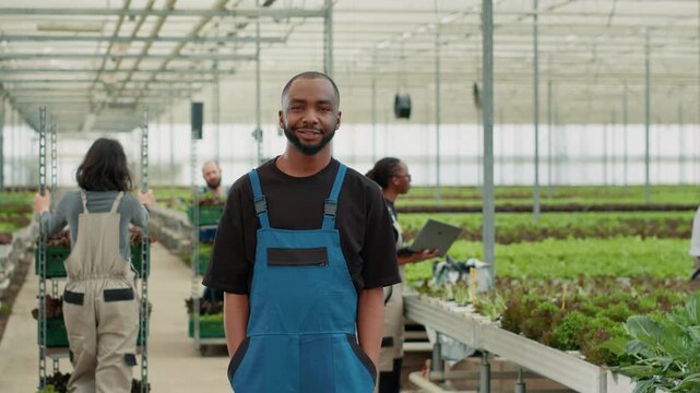 Smiling professional portrait of African American man posing with arms in pockets while workers push crates, showing professional greenhouse work and organic farming in a controlled greenhouse.