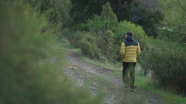 Man in a yellow jacket walks away from the camera along a rugged dirt trail through a lush forest area.