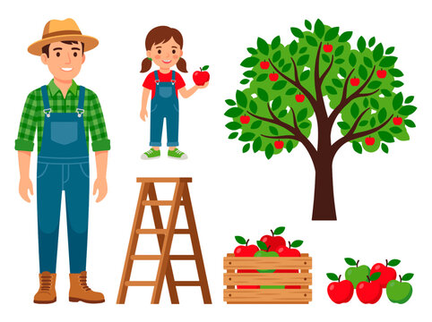 vector Happy Father's Day illustration of a farmer dad and daughter picking apples from a tree with a ladder and crate full of fruit Isolated on transparent background