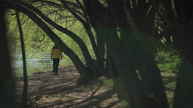 Man in a yellow jacket walking on a dirt path bordered by dark, arching trees alongside a calm lake, natural outdoor setting.