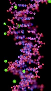 A colorful macromolecule helix rotates smoothly to represent dynamic genetic replication. The minimalist scientific visualization showcases detailed atomic nodes turning endlessly.