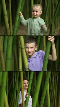 Mother with two sons playfully smiling and waving in lush bamboo forest. Peeking behind tall green stalks in serene outdoor family scene.