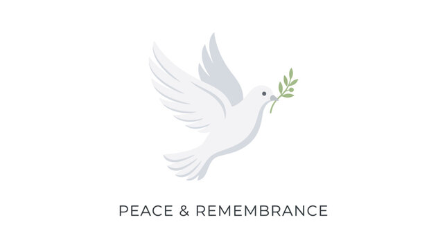 Vector illustration of a patriot dove on memorial day with olive branch