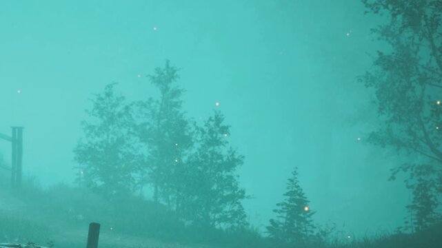 Trees are seen in a misty forest. Soft light reflects in the air. The scene shows an evening atmosphere with faint outlines of the trees in the background.