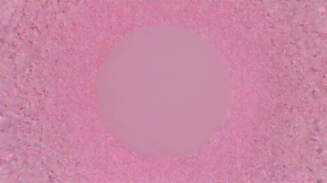 Photorealistic Cherry Blossom Petals with Dew Drops Forming a Floral Circular Frame on Transparent Background