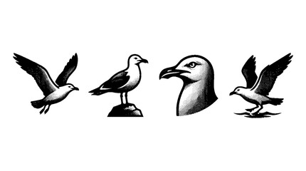 Obraz premium This collection features seagulls in dynamic poses rendered in a distinctive halftone style, capturing their essence of freedom and beauty over coastal scenes.