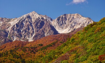 Obraz premium 紅葉の岩岳から望む白馬の峰々