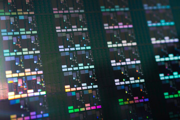 Fototapeta premium Silicon wafer for manufacturing semiconductor of integrated circuit.