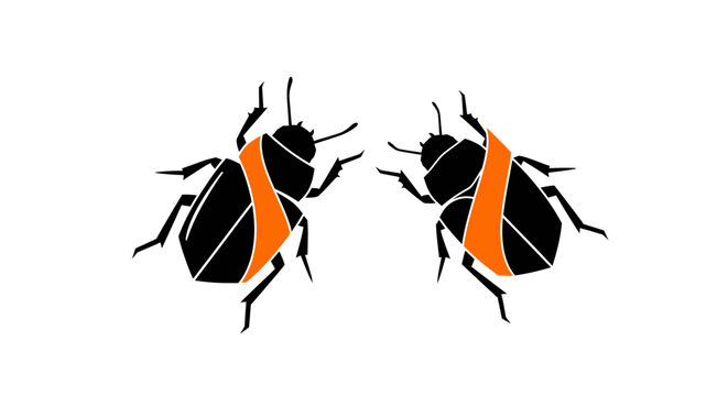 Two black and orange beetles with distinct markings.