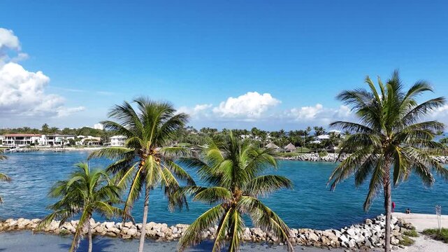 Rising up above the palm trees at Dubois Park along Jupiter Inlet in Palm Beach County, Florida