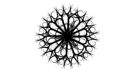 Obraz premium Black Abstract Mandala Circular Pattern on White Background