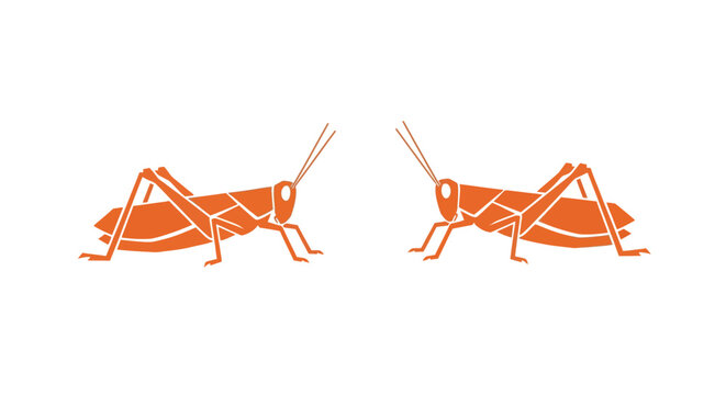 Two orange grasshoppers facing each other.