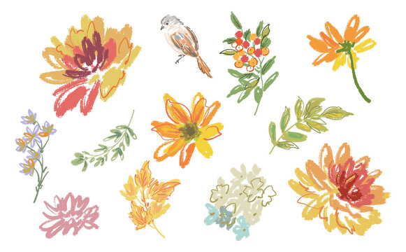 Hand-painted doodle style autumn botanical PNG clipart set featuring dahlias, autumn leaves, berries, and birds for stationery, greeting cards, and surface design.