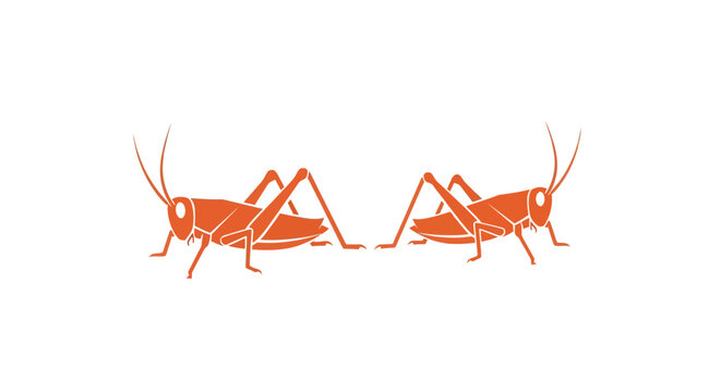 Two orange grasshoppers facing each other in detail.