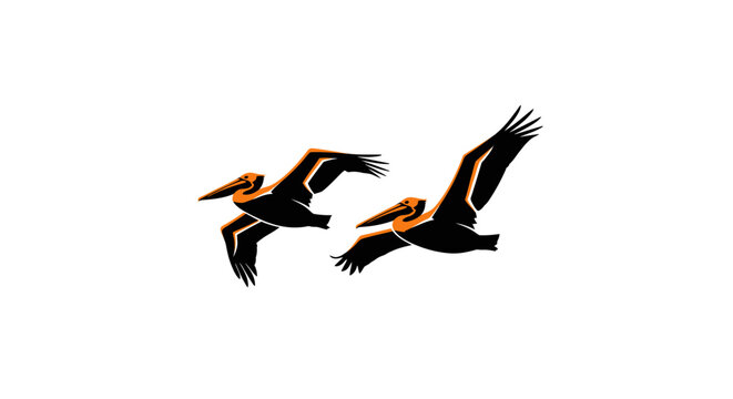 Two pelicans flying gracefully in the sky.