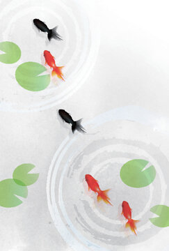 Elegant Goldfish Swimming Among Floating Lily Pads
