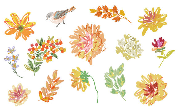 Hand-painted doodle style autumn botanical PNG clipart set featuring dahlias, autumn leaves, berries, and birds for stationery, greeting cards, and surface design.