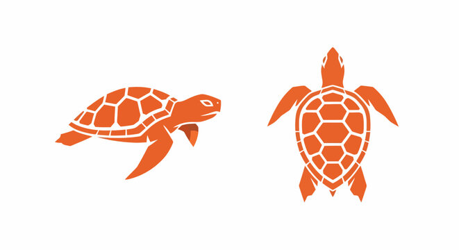 Two orange sea turtles with patterned shells illustration.