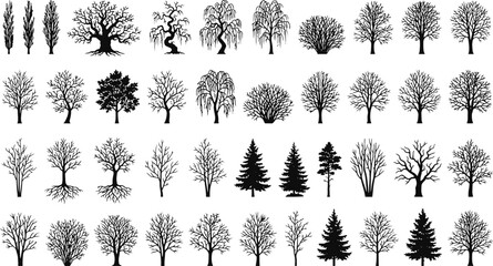Set of forty different tree silhouettes collection of forest trees pine deciduous and coniferous varieties in black ink with silhouette collection deciduous coniferous illustration © Kanon Islam