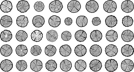Collection of hand-drawn circular wooden tree trunk cross sections and wood texture rings with crosssection circular woodgrain forestry collection handdrawn illustration material © Golzar