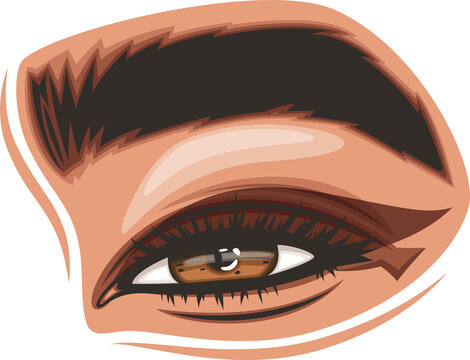 Cartoon eye with brown iris isolated on transparent background