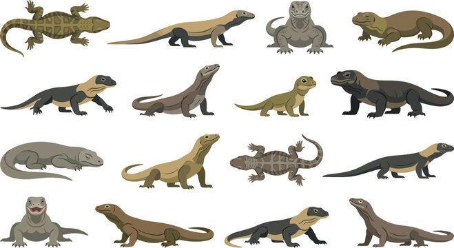 Extensive library of Komodo dragon poses featuring various angles and behavioral states for artistic reference