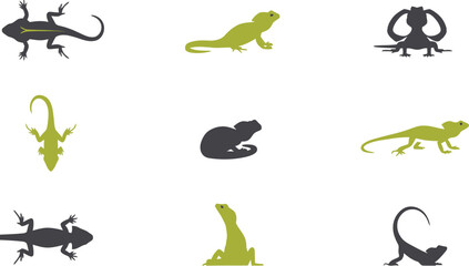 Obraz premium Minimalist flat vector set of lizard silhouettes and icons in green and grey isolated on a white background design