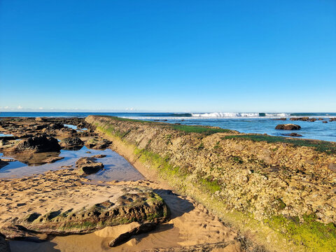 Concrete sea wall at Susan Gilmore Beach Newcastle New South Wales Australia. Taken at low tide with green algae exposed