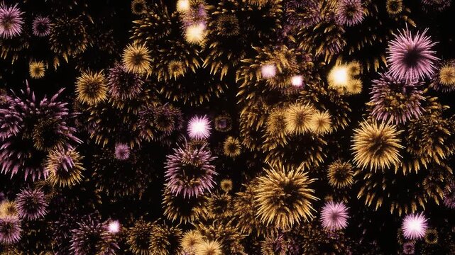 Stunning aerial view of vibrant gold and purple fireworks exploding against a dark night sky. Perfect for celebrations, New Year's Eve, holiday events, and festive motion graphic backgrounds.