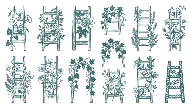 Collection of Decorative Garden Arbors and Trellises with Floral Embellishments.