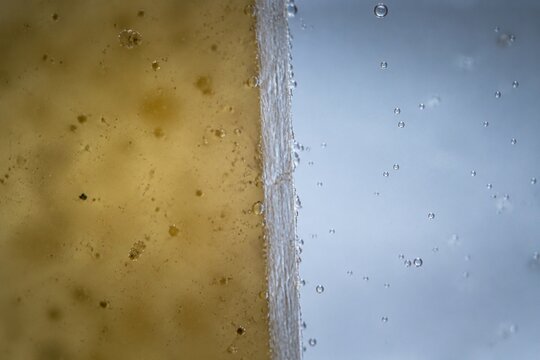 permeable. Extreme close-up of a semi-permeable membrane separating murky liquid from clear liquid. STEM education sheets.