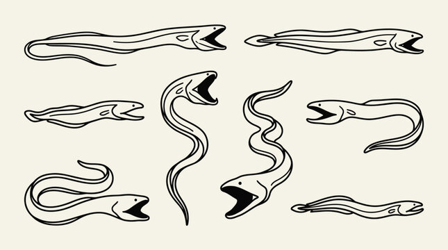 Detailed collection of moray eel silhouettes featuring various swimming poses in a minimalist line art aesthetic