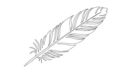 Elegant feather illustration, delicate lines, minimalist design, isolated on white background. © Sista