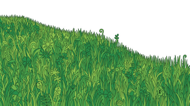 Un champ d'herbe verte luxuriante avec des foug&egrave;res et des plantes diverses, sur fond blanc