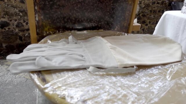 Closeup of protective beekeeping gloves placed on table highlighting safety equipment used for honey harvesting and apiary work in Mexico