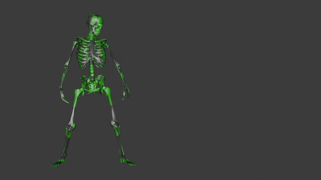 Gun shooting skelton pose .