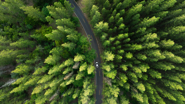 Aerial view of dark green forest road and white electric car Natural landscape and elevated roads Adventure travel and transportation and environmental protection concept	
