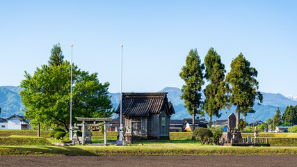 Traditional Japanese farmhouse (Azumadachi style) surrounded by a homestead windbreak forest (Yashikirin) in Toyama © hit1912