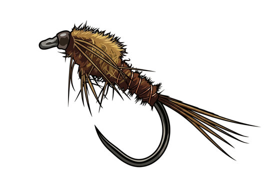 Vector nymph fly fishing lure for trout and bass, detailed profile view on white
