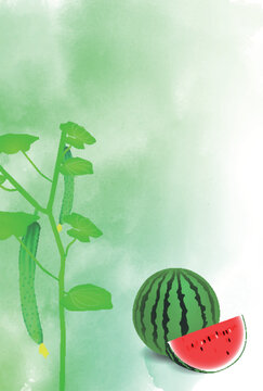 Fresh Summer Vegetables Cucumber and Watermelon Illustration