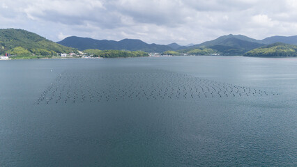 Marine aquaculture farm with rows of floating buoys in a calm coastal bay. Open water facility for seafood farming and sustainable marine production. © soya