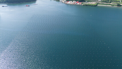 Rows of floating buoys at a marine aquaculture farm for seafood cultivation in coastal waters. Aerial view of marine infrastructure © soya