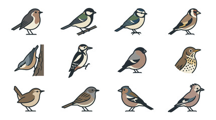 Realistic colorful small bird illustration set. © difka