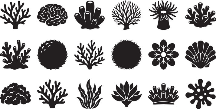 Marine life silhouette collection featuring coral seaweed sponge anemone shell reef organisms and underwater botanical vector elements for ocean design