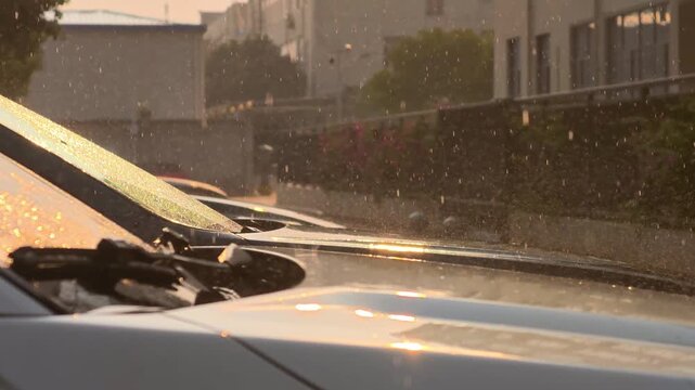 Strange natural occurrence where it&rsquo;s sunny with bright sunshine yet it&rsquo;s still raining.